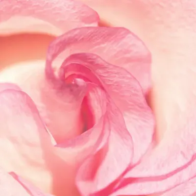 version_400_image-demo