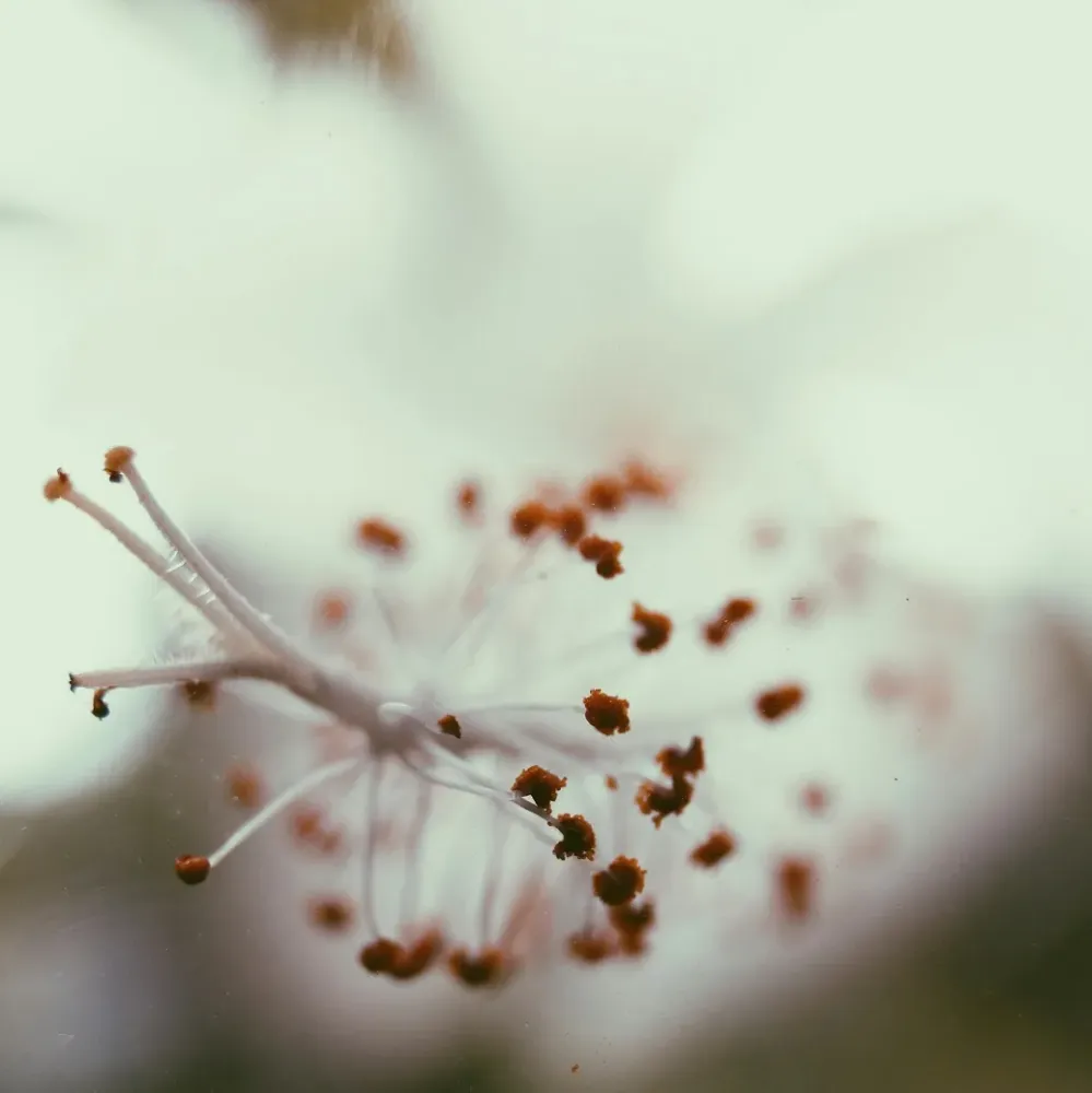 pexels-hellochemo-2919761 -Swapnil Sharma RRR