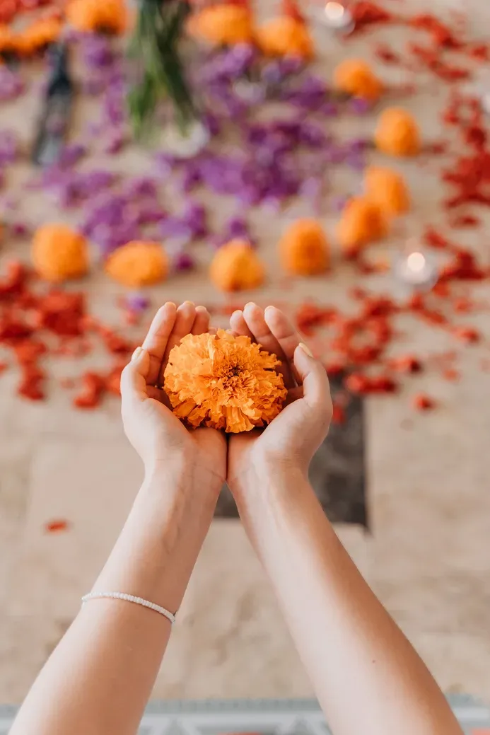 shutterstock_1718148295 R