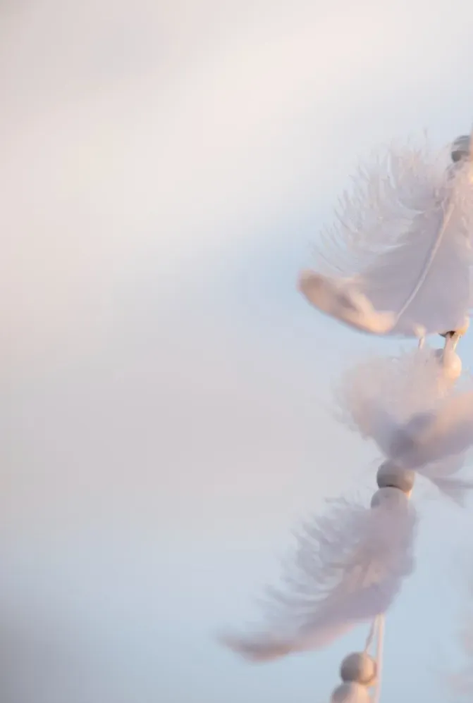 Plumes R